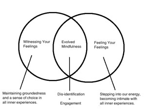 evolved-mindfulness-venn-diagram