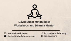 David Sudar Mindfulness Workshops And Coaching - Business Card
