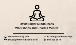 David Sudar Mindfulness Workshops And Coaching - Business Card